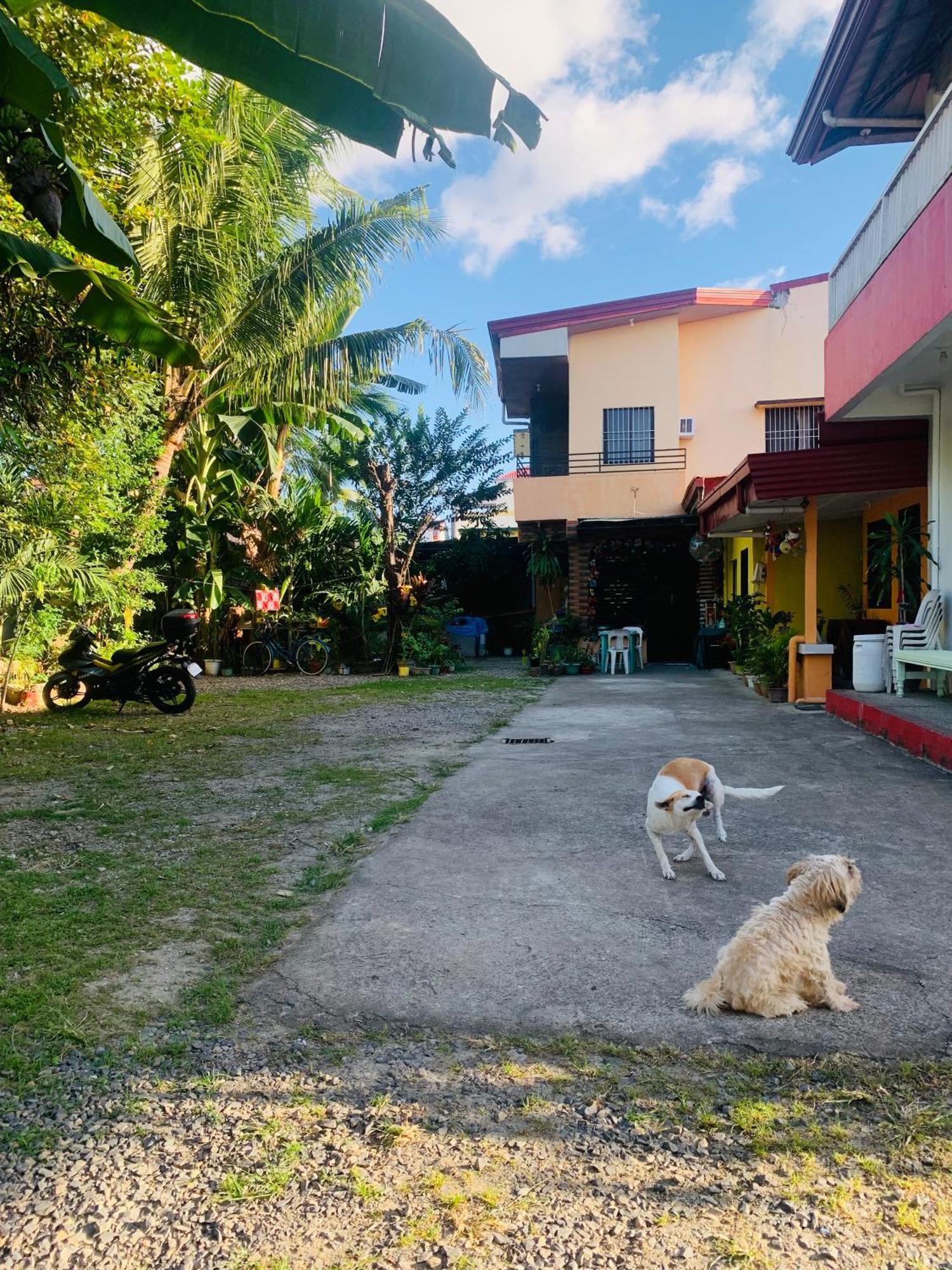 Perlies Inn Tanay Barkada House Екстериор снимка